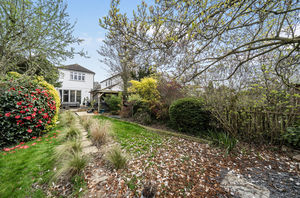 Rear aspect- click for photo gallery